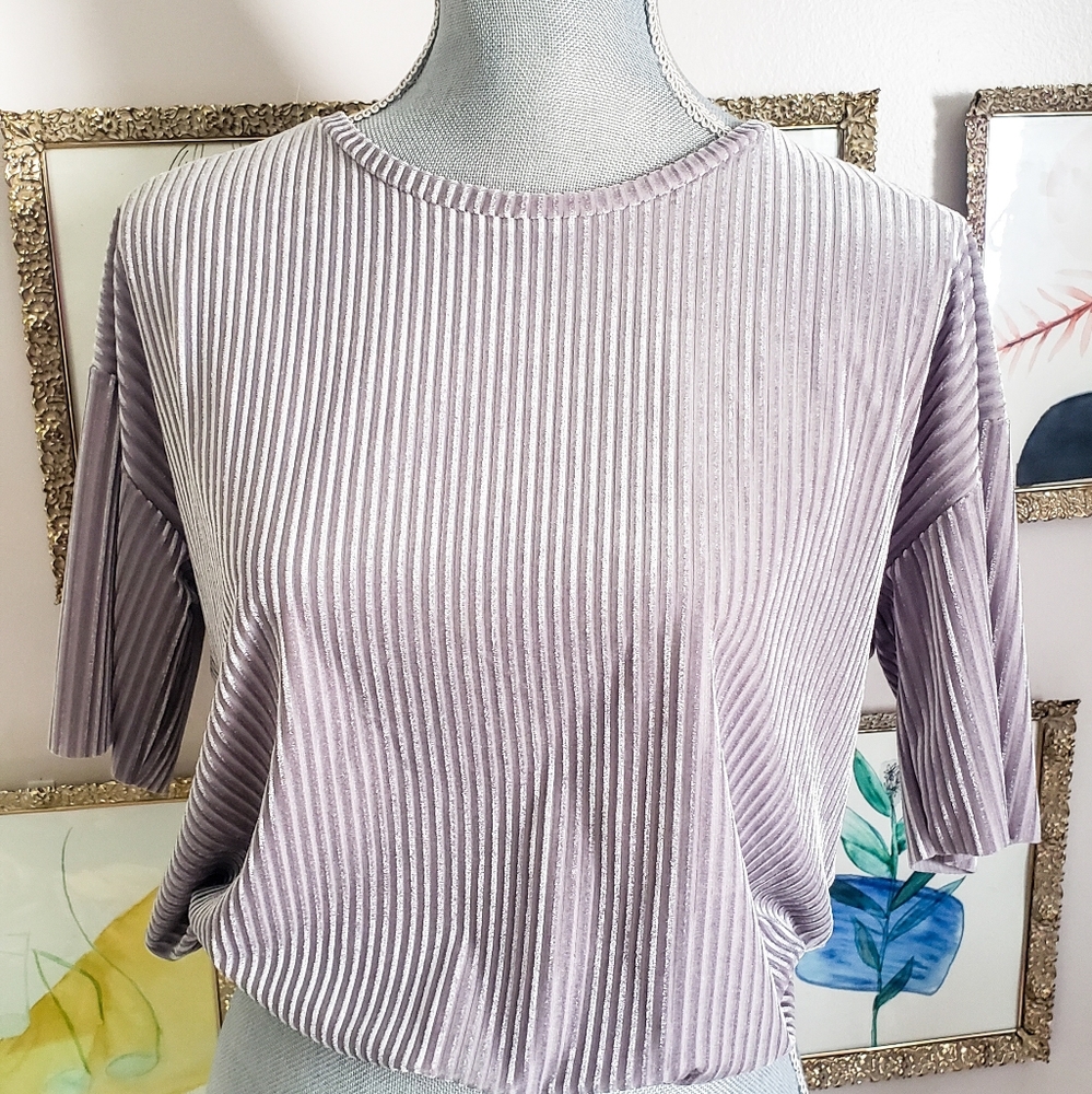 Zara crop velvet top